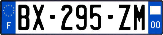 BX-295-ZM