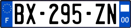 BX-295-ZN