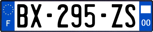 BX-295-ZS
