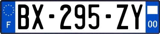 BX-295-ZY