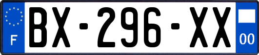 BX-296-XX