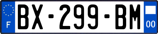 BX-299-BM