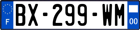 BX-299-WM