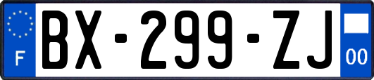 BX-299-ZJ