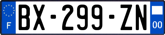 BX-299-ZN