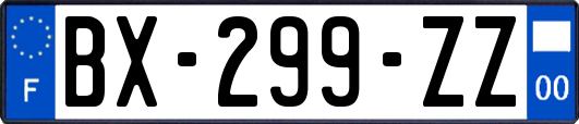 BX-299-ZZ