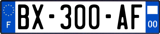 BX-300-AF