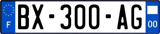 BX-300-AG