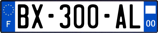 BX-300-AL