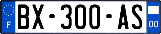 BX-300-AS