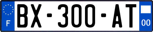 BX-300-AT