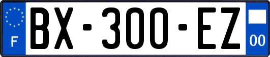 BX-300-EZ