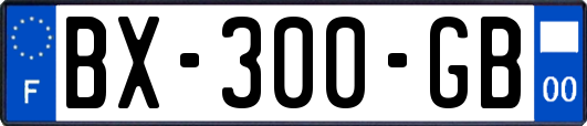 BX-300-GB