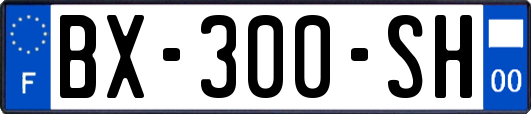 BX-300-SH