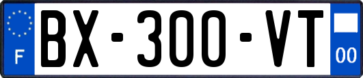 BX-300-VT