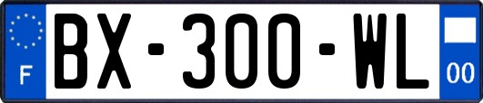 BX-300-WL