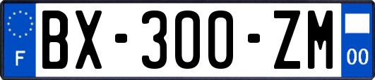 BX-300-ZM