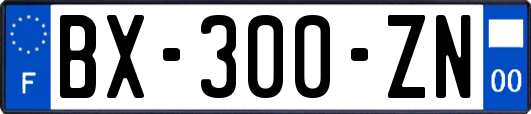 BX-300-ZN