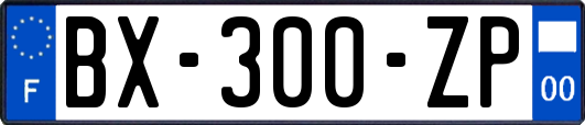 BX-300-ZP