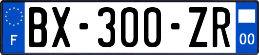 BX-300-ZR