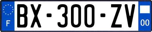 BX-300-ZV