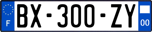 BX-300-ZY