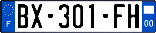 BX-301-FH