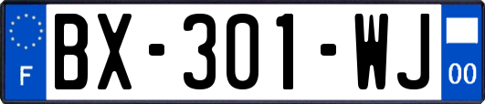 BX-301-WJ