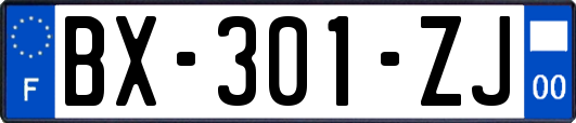 BX-301-ZJ