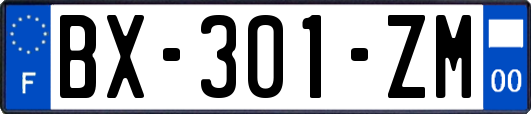 BX-301-ZM