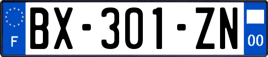 BX-301-ZN