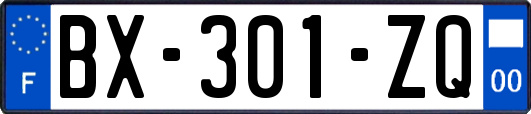 BX-301-ZQ