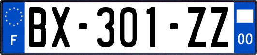 BX-301-ZZ