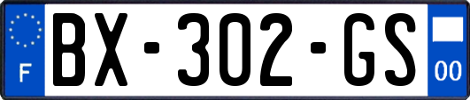 BX-302-GS