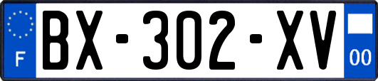 BX-302-XV