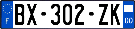 BX-302-ZK