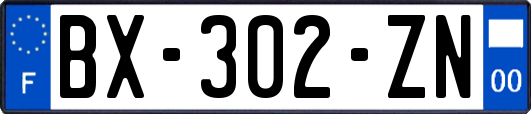 BX-302-ZN