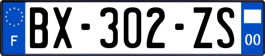 BX-302-ZS