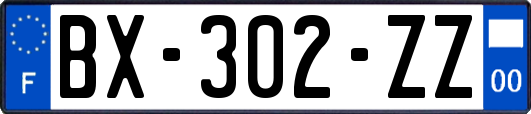 BX-302-ZZ