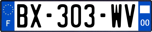 BX-303-WV