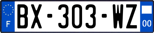 BX-303-WZ