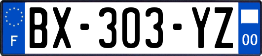 BX-303-YZ