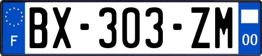 BX-303-ZM