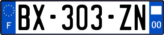 BX-303-ZN