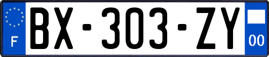 BX-303-ZY