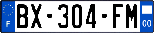 BX-304-FM