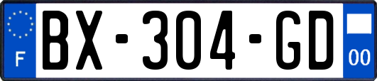 BX-304-GD