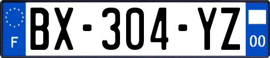 BX-304-YZ