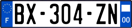 BX-304-ZN