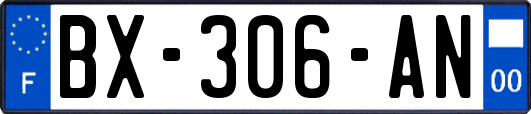 BX-306-AN